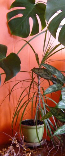 The Center for Creative Healing. counseling therapy psychotherapy, Portland Maine